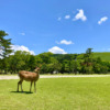 Thumbnail of related posts 128