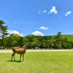 Thumbnail of post image 083
