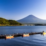 Thumbnail of post image 005