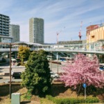 Thumbnail of post image 014