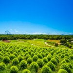 Thumbnail of post image 199