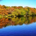 Thumbnail of post image 017