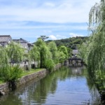 Thumbnail of post image 135