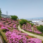 Thumbnail of post image 168