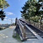 Thumbnail of post image 178