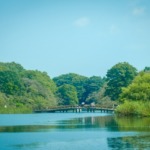 Thumbnail of post image 037